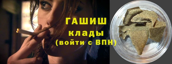 прущие грибы Саяногорск