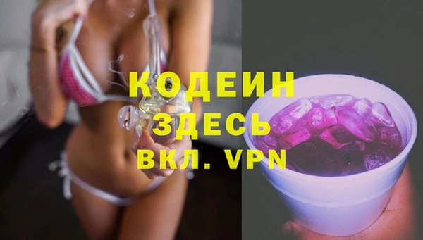 дживик Абаза