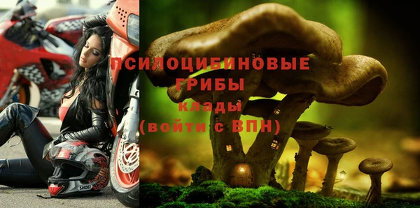 ECSTASY Абинск
