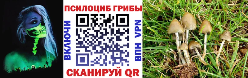Галлюциногенные грибы Magic Shrooms  Горбатов 