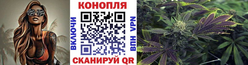 Бошки Шишки сатива  это телеграм  Горбатов 
